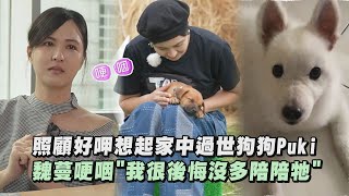 【TOP DOG回家】照顧好呷想起家中過世狗狗Puki 魏蔓哽咽\