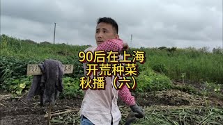 沪漂小伙荒野开荒种菜秋播的种子发芽出土了#记录真实生活 #播种