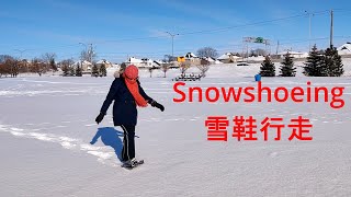 Snowshoeing 雪鞋行走 （2022-01-23 )