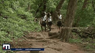 വന്യത നിറഞ്ഞുനിൽക്കുന്ന കാനന പാത, കൂട്ട് അയ്യപ്പൻ മാത്രം; ശരണ വഴിയിലൂടെ ഒരുയാത്ര | Sabarimala