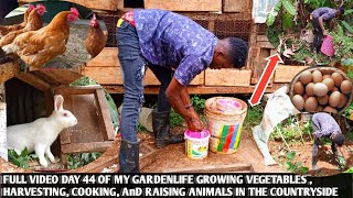 Day 44 living in the garden growing vegetables , Harvesting, Raising Ducks, Chickens,Rabbits,pigeons