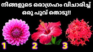 💫💫നിങ്ങളുടെ ഫലങ്ങൾ പറയാം മനസ്സ് പറയുന്ന ഒരു പൂവ്‌ തിരഞ്ഞെടുക്കു