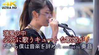 【 歌うま 】強風の新宿に必死に歌うキュートな歌姫が！キュンとする歌声でした。　 だから僕は音楽を辞めた / ヨルシカ（cover）\