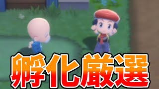 【ポケモンBDSP】配布用のオシャボ入り夢特性5Vポケモン孵化厳選！【ダイパリメイク】