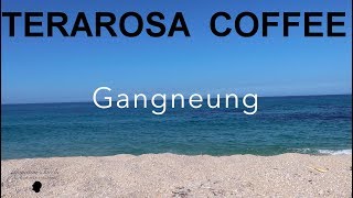 TERAROSA coffee company - 테라로사커피 - South Korean outstanding coffee culture