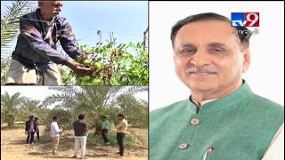 Meet farmers who prove smart agriculture \u0026 Govt help can make you rich, Patan | Tv9