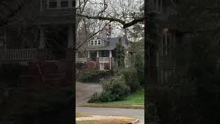 Saying Goodbye to Palmy Columbia, South Carolina