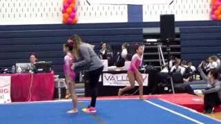 Jalysa Facey - 2017 SSGA Dream Big Invitational - 1st All Around