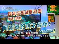 【海派珊瑚】90cm 海水缸設缸維護四年成果 | Neptune Apex 系統設置 | Grandma's Fat Fish? 90cm Saltwater Tank 4-Year Results