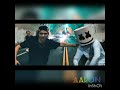 Download Skrillex y Marshmello mp3