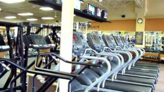 Amazing Cardio Area At Gold's Gym In Port Orange, Florida