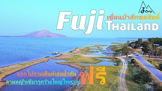 กางเต็นท์ใต้ต้นชมพูพันธุ์ทิพย์ เขื่อนป่าสักชลสิทธิ์ | วิวฟูจิ ไทยแลนด์ @zcamp6845