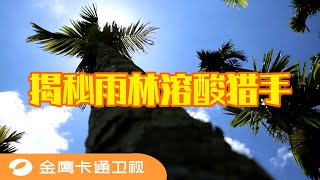 🌵 《童趣大冒险2021》第24期：零视力却靠分泌腐蚀性液体成为捕食高手？揭秘雨林溶酸猎手 BIG ADVENTURE OF KIDS 金鹰卡通