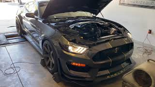 Procharged 2017 GT350 dyno