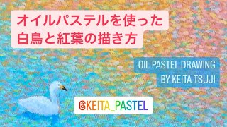 【解説】オイルパステルを使った白鳥と紅葉の描き方/OIL PASTEL DRAWING BY KEITA TSUJI