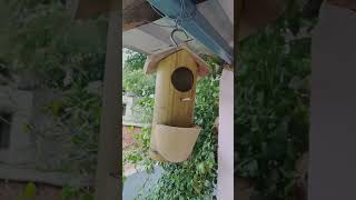 bamboo birdhouse