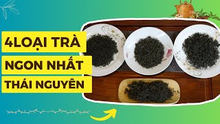 4 Loại Trà Ngon Nhất Đặc Biệt Nhất Của Thái Nguyên