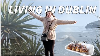 living in Dublin and going to the beach on a beautiful day | lots of puppies and eating waffles