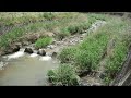 遠賀川　初夏の風が渡る　普門寺橋～田出原橋～仙道橋　②　嘉麻市桑野