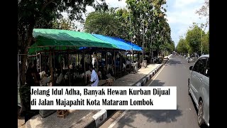 SUASANA JALAN MAJAPAHIT KOTA MATARAM LOMBOK - SITUASI LOMBOK TERKINI