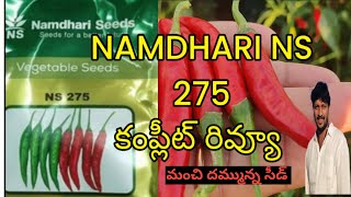 #mirchi లో మంచి దిగుబడి వస్తున్న  వెరైటీ #NAMDHARI NS #275 #మిరప కూలీల సమస్య ఉంటే ఇదే బెటర్..#seed