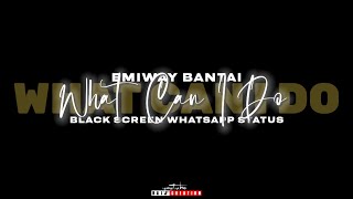 EMIWAY BANTAI - What can I do black screen whatsapp status | @Stellar_007 | Raja Creation