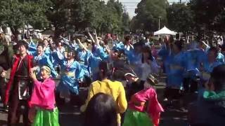 2016東海秋祭り　総踊り「ＹＥＡＲ　ＨＯＰＥ！！」　勤労センター前