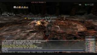 FFXI - KSNM 30 Copycat (Ragrox)