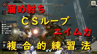 【モンハンライズ　弓】弓闘士への道 No12 ＣＳループをより実戦的に使うための複合的な練習法【モンハンライズ】