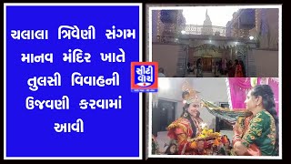 Chalala ત્રિવેણી સંગમ માનવ મંદિર ખાતે તુલસી વિવાહની ઉજવણી કરવામાં આવી|CITY WATCH NEWS