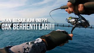 Casting UL Fishing Snorkeling di Pulau Harapan, Pesta strike sampe dibuat gak bisa tidur