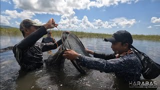 EP785-P2 - Night Fishing at Gango | Occ. Mindoro