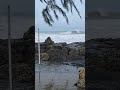 after hurricane beryl 2024 wavesounds nature caribbeansea barbados