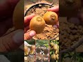 kiwi fruit growing method #kiwi #plant #satisfyingvideo