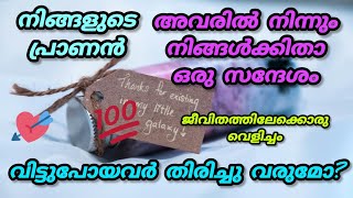 നിങ്ങളിൽ നിന്നും അകന്നിരിക്കുന്നവർ നിങ്ങളുടെ ജീവിതത്തിലേക്കു തിരിച്ചു വരുമോ?#malayalamtarot #trend