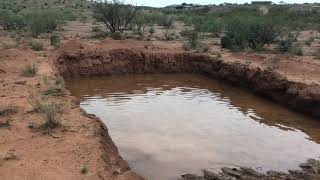 RAINWATER HARVESTING TECHNIQUE - 16,000 gallon DIY STOCK POND