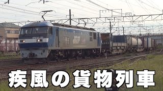 2020年9月29日　疾風の貨物列車 全16本　大迫力モーター音と重量感たっぷりのジョイント音‼早朝と夕方の浜松市内を走り抜ける大迫力の貨物列車　Powerful freight train