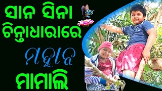 ସାନ ସିନା ଚିନ୍ତାଧାରାରେ ମହାନ || ଭଦ୍ରକର ପକ୍ଷୀରାଣୀ ମାମାଲି ପଣ୍ଡା || water bird