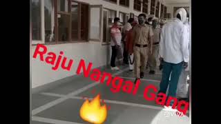 Bhiwani Top Gangster || Bhiwani ke Don ||Raju Nangal Gang|| Bhiwani Top Gang