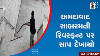 Ahmedabad News | અમદાવાદ સાબરમતી રિવરફ્રન્ટ પર સાપ દેખાયો | Sabarmati Riverfront | Gujarat