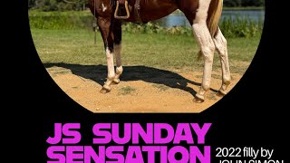 JS Sunday Sensation