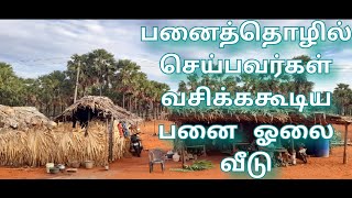 பனைத்தொழில் செய்பவர்கள் வசிக்கும் பனை ஓலை வீடு A palm thatehed house where palm workers live