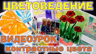 Видеоурок. Цветоведение - Контрастные цвета. Практика