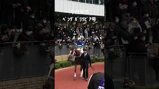 今村聖奈　ﾍﾞﾝﾀﾞﾊﾞﾘﾗﾋﾞｱ号　パドック風景② 20221217中京競馬5R