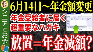 【年金額増加】6月に届く通知書のココだけは絶対にチェックして！確認すべき項目を完全解説！【年金額改定通知書/年金振込通知書】