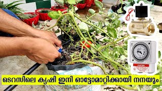 ചെടികൾ നനയും ഓട്ടോമാറ്റിക്കായി ! - Automatic Irrigation with Pressure Pump, Solenoid Valve and Timer