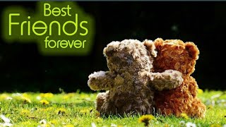 beautiful quotes about friendship |friendship quotes English| friendship quotes in English