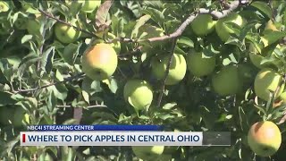 Where to pick apples in Columbus and Central Ohio in 2021