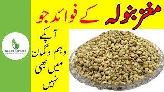 Maghaz Banola K Fwayid | Cotton Seeds Benefits | Urdu/Hindi | Dar ul Hikmat Urdu | DUH...