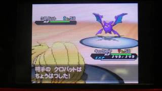 ポケモンｂｗ２チーム内対戦ｐａｒｔ４　ザキ対コジ　二回目